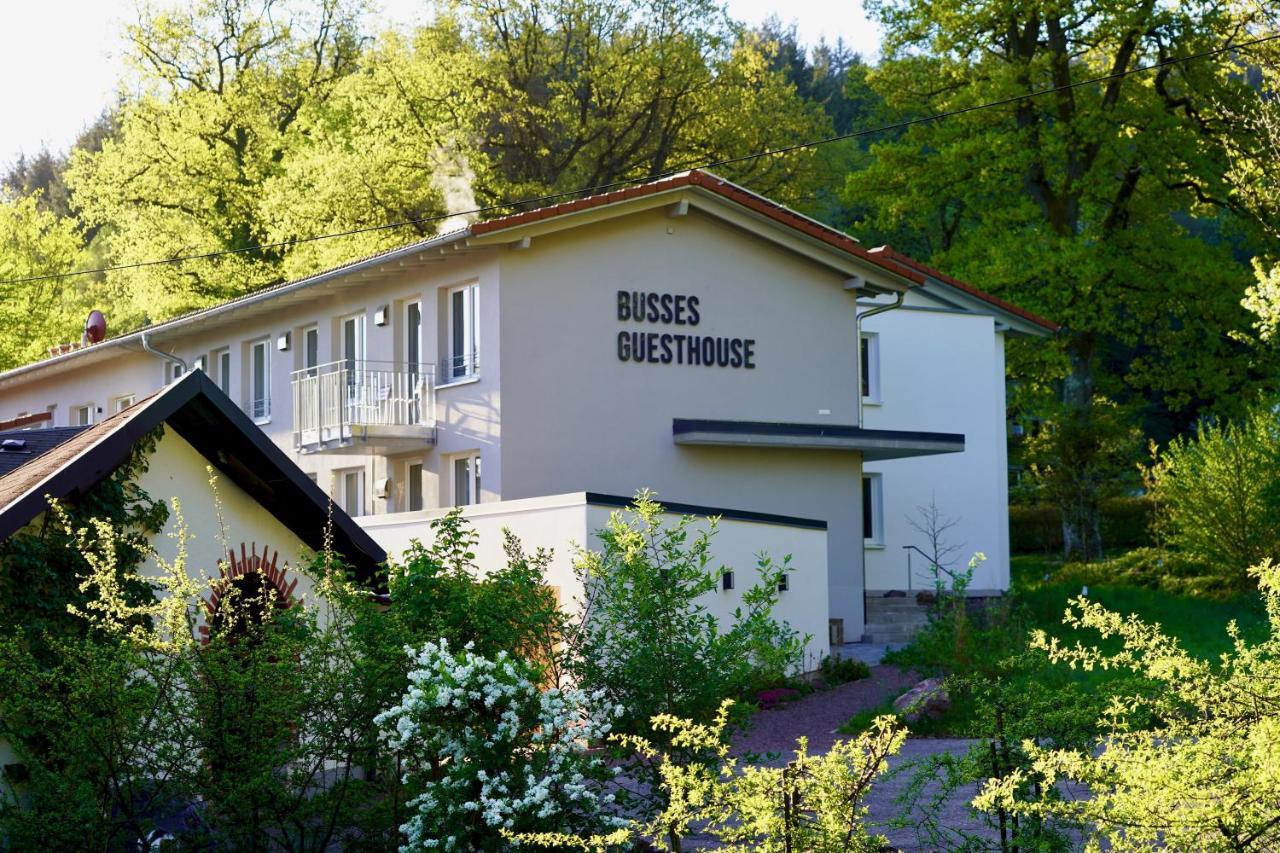Busses Guesthouse Friburgo de Brisgovia Exterior foto